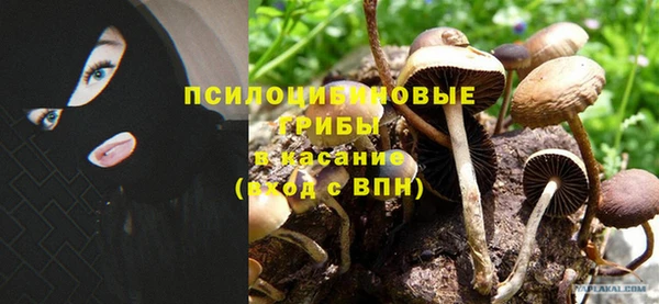 герыч Алзамай