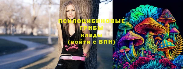 метадон Алексеевка